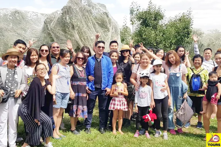 Fun Group for Cherry picking