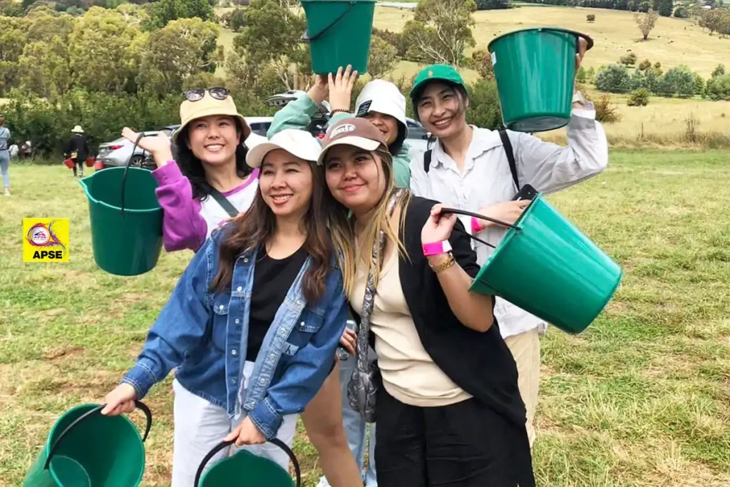 group fun time for cherry picking